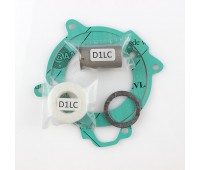 Полный ремкомплект D1LC